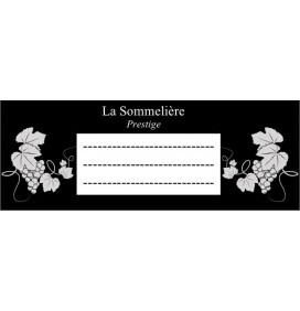 Lot de 10 étiquettes compatibles COMPATIBLES GAMME VIP2