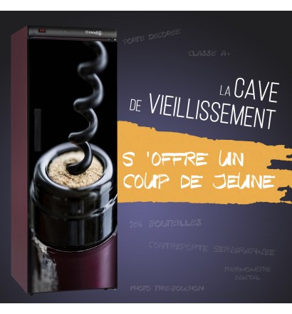 CAVE MILLESIME pour le vieillissement de 264 bouteilles - porte décorée