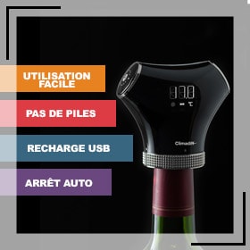 idée cadeau bouchon pompe vide air vin